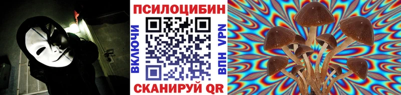 shop телеграм  Сурск  Псилоцибиновые грибы MAGIC MUSHROOMS  наркота 